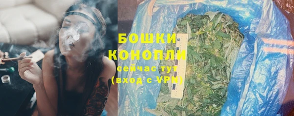 шишки Рославль