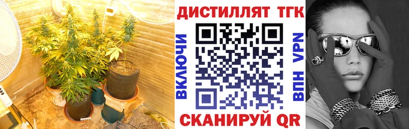 Купить где  Калязин  ТГК гашишное масло 